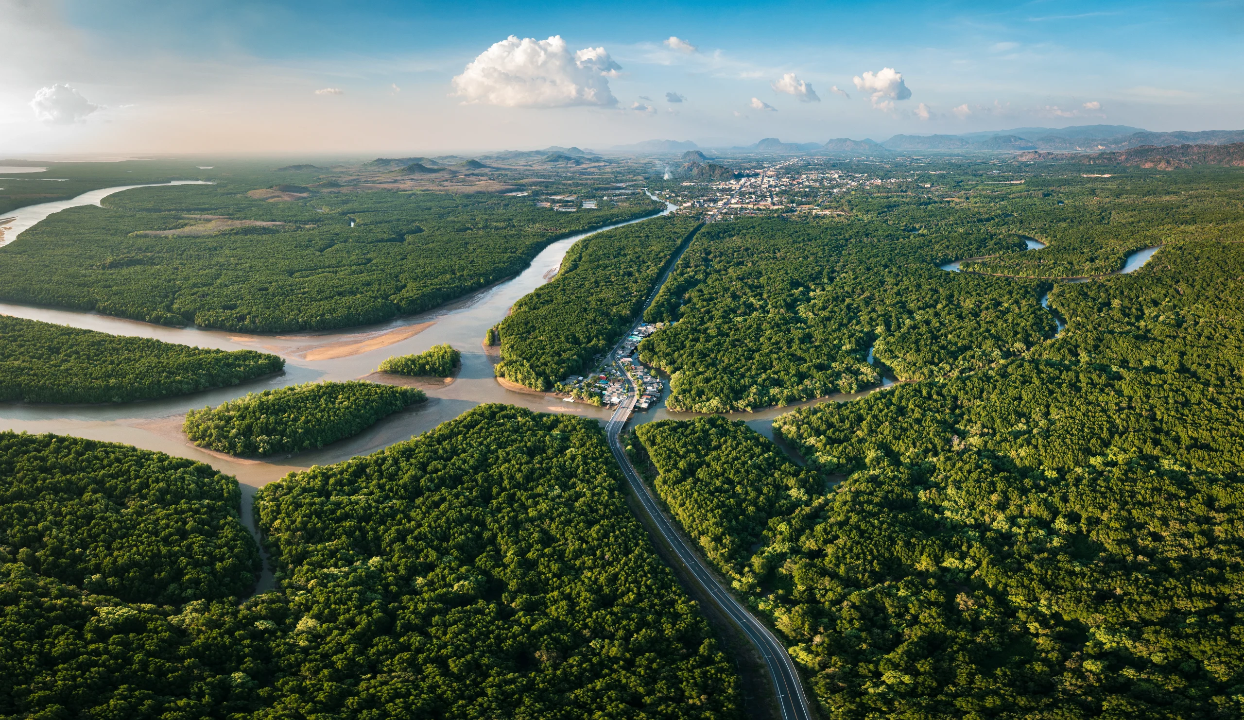 Aerial view of a winding river and road cutting through dense forest, illustrating operationalizing sustainability in 2025 amid ESG regulatory uncertainty, climate risk, and evolving sustainability systems.